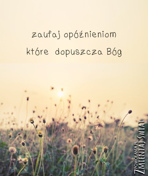 KamilW_SAC's tweet photo. 🙏 „nie tak bowiem człowiek widzi jak widzi Bóg” #ZmieniajŚwiat #Pallotyni #Bógwidzilepiej #wiara https://t.co/PSVaYrzrhx