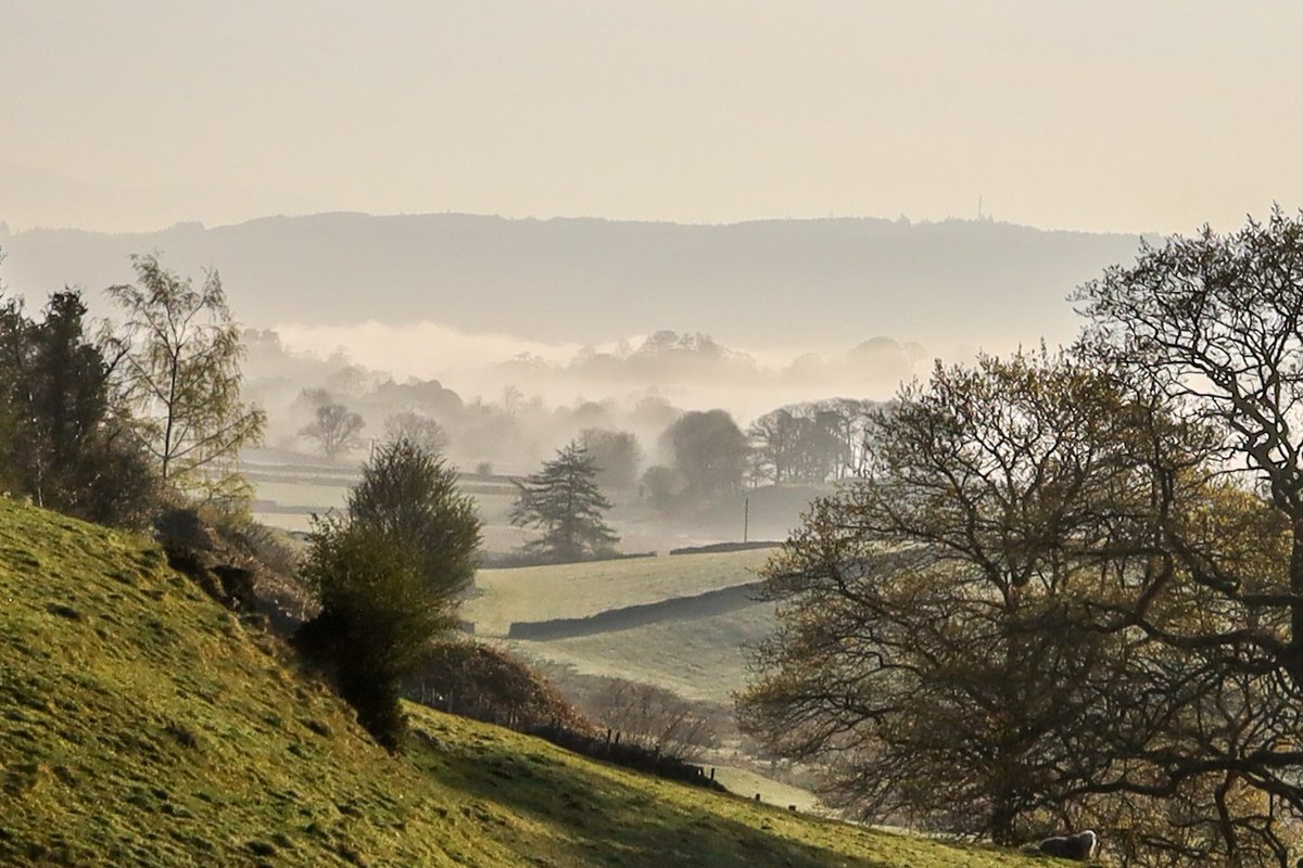 It's another beautiful #frosty and #misty morning - looking towards #Grizedale Forest over our neighbours field <a href="/metoffice/">Met Office</a> #loveukweather <a href="/EarthandClouds/">Earth and Clouds</a> <a href="/PictureCumbria/">Picture Cumbria</a> <a href="/keswickbootco/">Keswick boot co</a> <a href="/alanhinkes/">Alan Hinkes OBE</a> <a href="/ThePhotoHour/">#ThePhotoHour</a> #LakeDistrict <a href="/StormHourMark/">Mark Boardman</a> <a href="/BBC_Cumbria/">BBC Cumbria</a> <a href="/OwainWynEvans/">Owain Wyn Evans</a>
