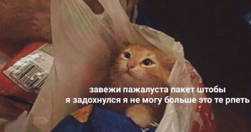 Эндибари tweet media