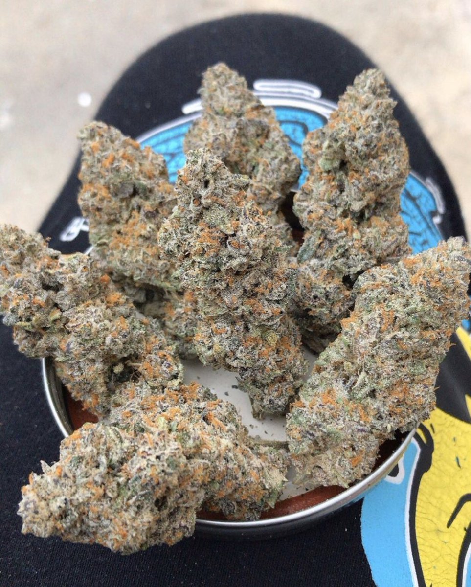 JhonPatto's tweet photo. @Cannabis_France JE RESTE CONFINÉ JE ME FAIT LIVRER OKLM #France
snapchat: jhon_pattoshit
Telegram: @jhon_patto85 
#weed #cannabis #cocaine #mdma #xanax #adderal #oxycodone #weedfrance #weedfr #PSG #cannabisfrance #lyon #A #beuh #marijuana #Parisiens https://t.co/bjdbIdGadl