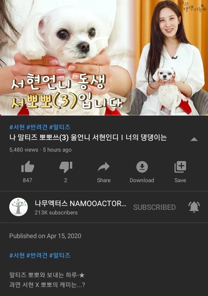 628Updates's tweet photo. [VIDEO] 200415 

(TRANS)
PIC: I'm Seo Ppoppo (3), Seohyun unnie's dongsaeng
TITLE: I'm Maltese Ppoppo-sseu (3) and my unnie is Seohyun | How about your puppy?
DESCRIPTION: A day spent with Maltese Ppoppo-☆
How is Seohyun X Ppoppo's Chemistry...?

📺https://t.co/2XMGmkiojf

#서현 https://t.co/MOYftx5FJV