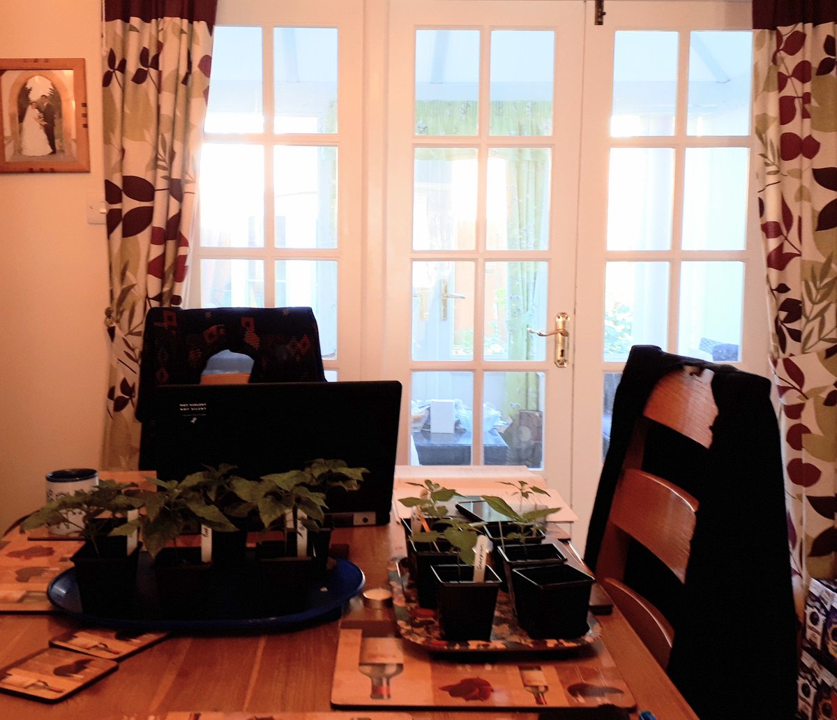 Nicholas Causer tweet media