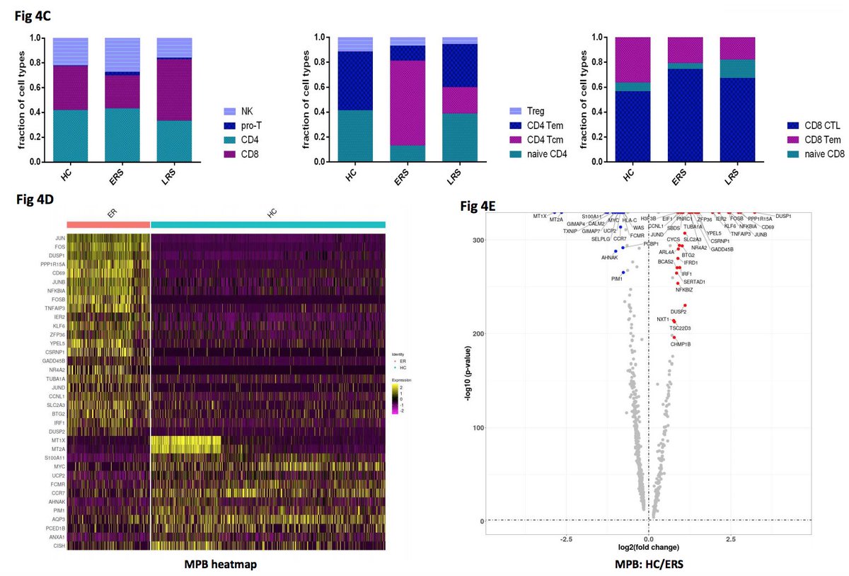 Wen et al ( https://www.medrxiv.org/content/10.1101/2020.03.23.20039362v2) used scRNASeq to examine healthy controls, early (ERS) and late patients recovering. ERS patients had less CD8+ cells in periphery but more effectors. Found clonally expanded CD8s that had an inflammatory phenotype but data not shown? 6/17