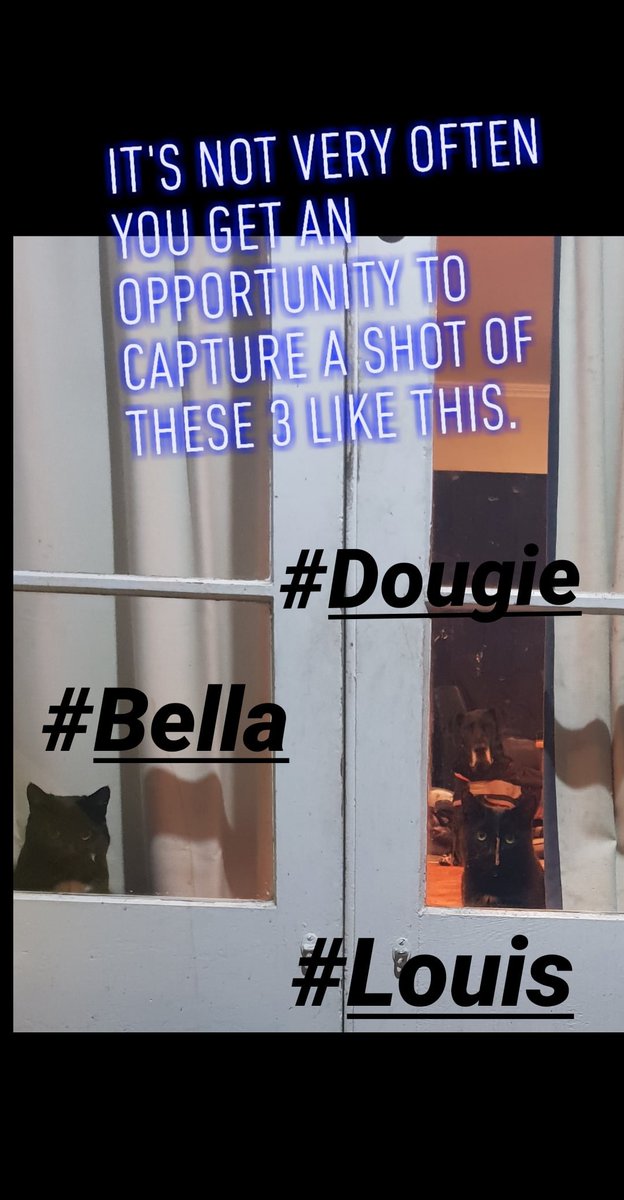 ivil87's tweet image. 