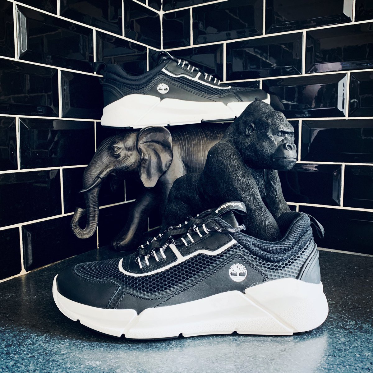 sebG1980's tweet photo. #timberland #shoes #natureneedsheroes #jungle #blackandwhite 
#photography by me 
@Timberland 
@Timberland_EU 
 @Timberland_JPN 
@Timberland_MX https://t.co/tyjapgKY3T