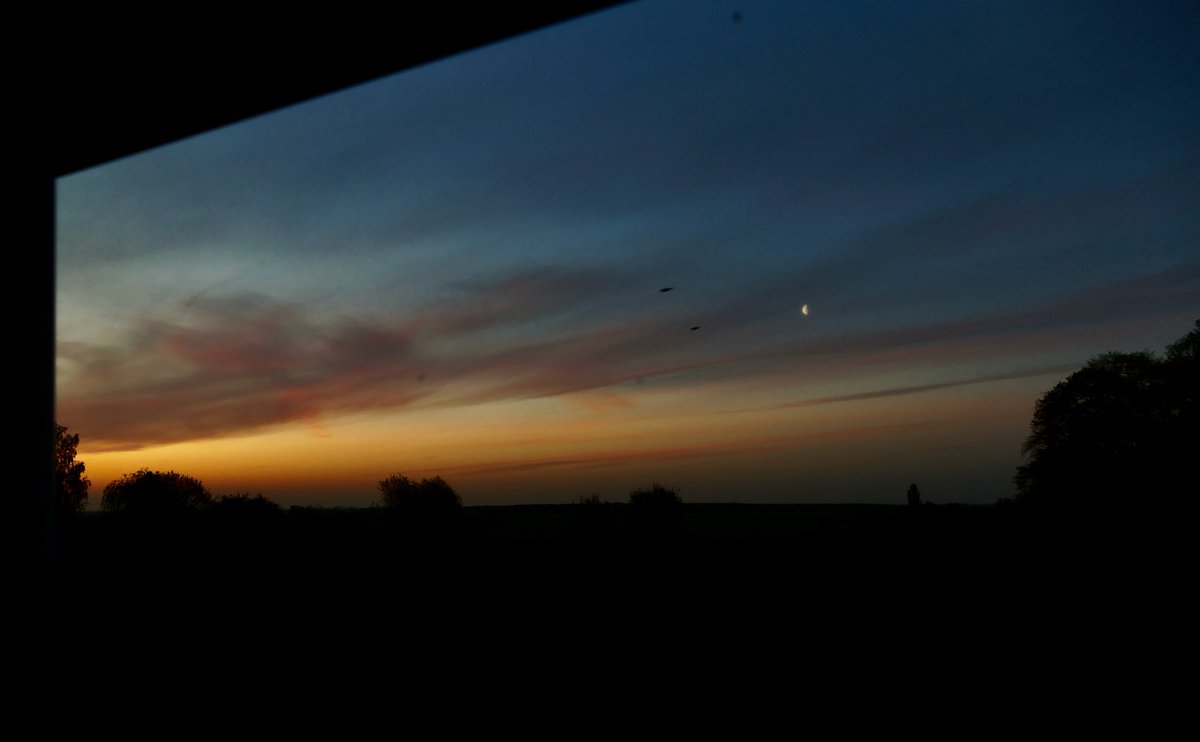 daveroybradley's tweet photo. Looking through the window.. 5:15 am in the Fens with the moon still visible @ChrisPage90 @itvanglia @FascinatingFens @itvweather #WindowWeather https://t.co/FeMldZu3dt