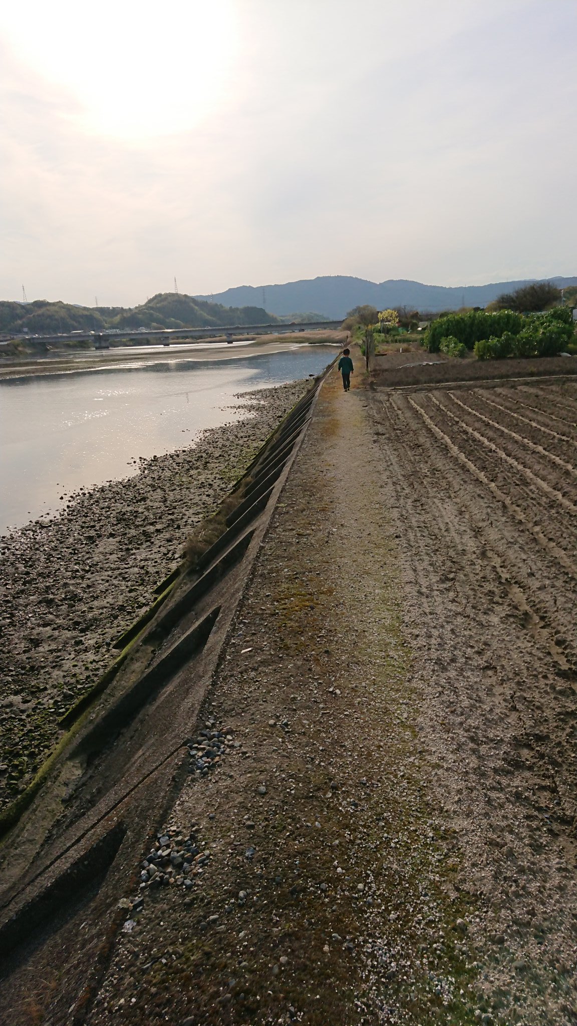 藤田知洋 Twitter Search Twitter