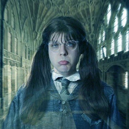 Mr. Potterhead (@Mr_Potterhead_) | Twitter