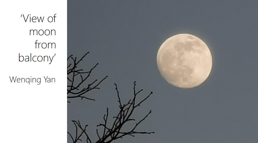 Scientific Staff Association at Dept. of Materials tweet media