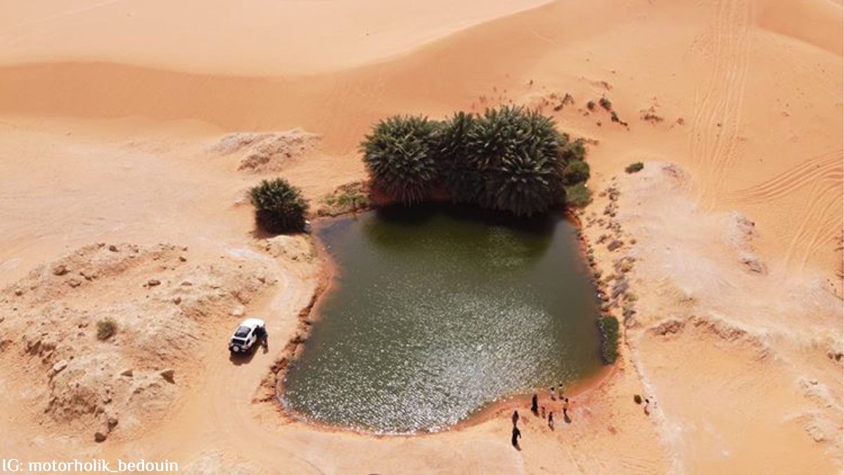 msalsaif's tweet image. The diversified lands of #Saudi is waiting for us to visit, but for now #StayHome