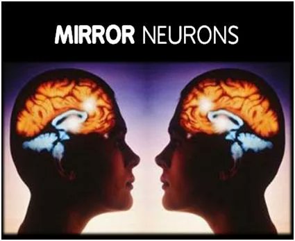 Ifumsaquizclub's tweet photo. BMS Wednesday📚🙋🏼🙋🏽
💥Mirror Neurons
Mirror neurons are responsible for how we learn by imitation. They are found in the premotor cortical area and inferior parietal cortex of the brain.
📍They were first discovered in monkeys.
#Eathealthy🥕🌽🍏🍉🍅🌶
#FebrileStuff🔥 https://t.co/leaR3C2ln9