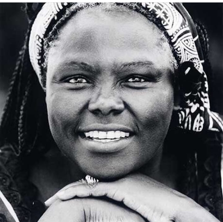 WangariMaathai's tweet photo. "In the course of history, there comes a time when humanity is called to shift to a new level of consciousness, to reach a higher moral ground. A time when we have to shed our fear and give hope to each other."
#wangari80 #wearewangari #courageousleadership
#togetherapart #Ubuntu https://t.co/e8JB17LZ11