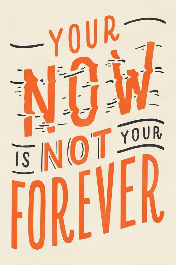 CompletelyNovel.com tweet media