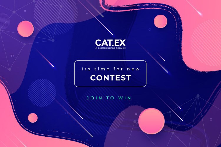 Catex Exchange tweet media