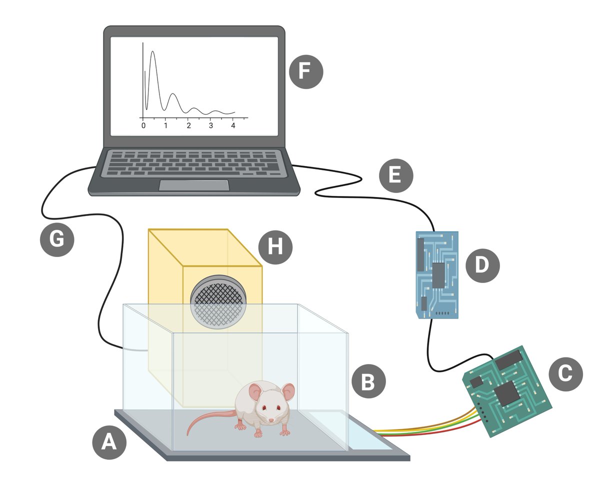 Salkovic_Lab's tweet photo. Check out our latest preprint: Repurposing a digital kitchen scale for neuroscience research: a complete hardware and software cookbook for PASTA

https://t.co/R0hOke5PN8 https://t.co/LPh4nyAwrE