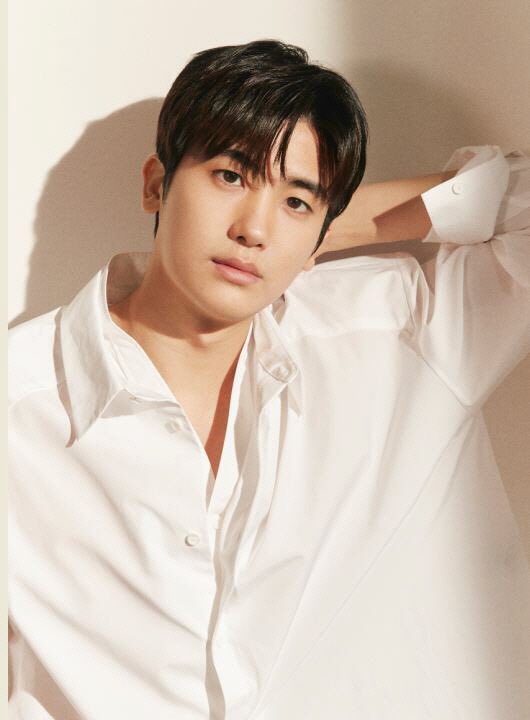 which drama/movie/variety show etc you first knew this actor?actor: park hyung sik