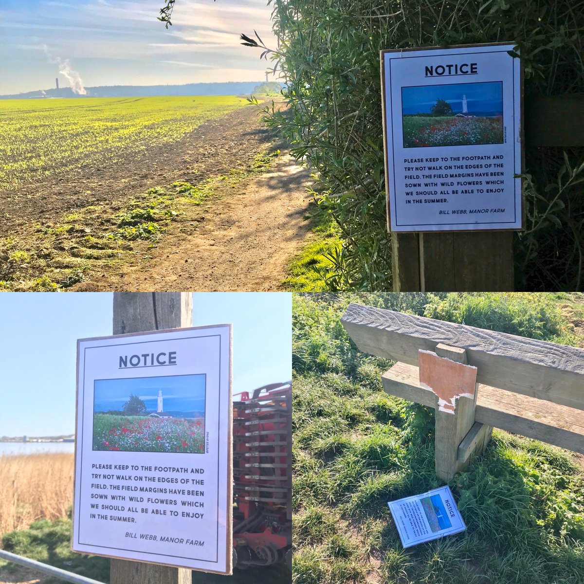agricontract's tweet photo. What is wrong with people @joewebz  has planted a @CFEonline wild flowers along shore at #halelighthouse last year some one threw signs in #rivermersey this year they where screwed to the bench now ripped off makes you think why bother 🤷‍♂️ @PJ_Kirkham @LivEchonews @JudyHobson01 https://t.co/v9QptDyfJU