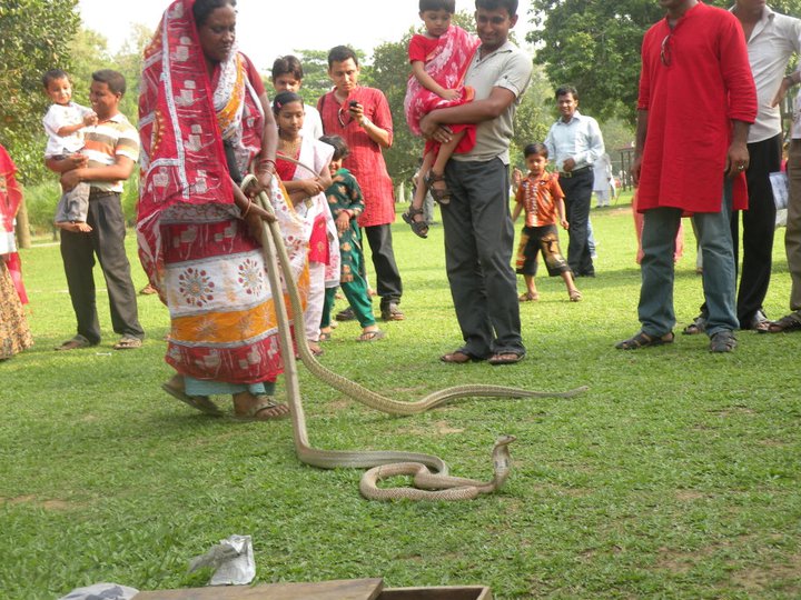 Shuvro11664's tweet photo. Happy Bengali New Year 1427! বাংলা শুভ নববর্ষ!!! #Bangladesh #fair #Snakeshow #NewYear #traditional #rural #snakecharmer #poisonous #Cobra https://t.co/QoW4YSCjIP
