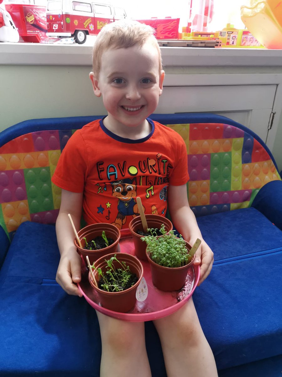 SuzyBailey3's tweet photo. Luca's plants have started to grow and the cress is ready to eat!!!
@ChristChurch_CE https://t.co/2xH5jKYurP