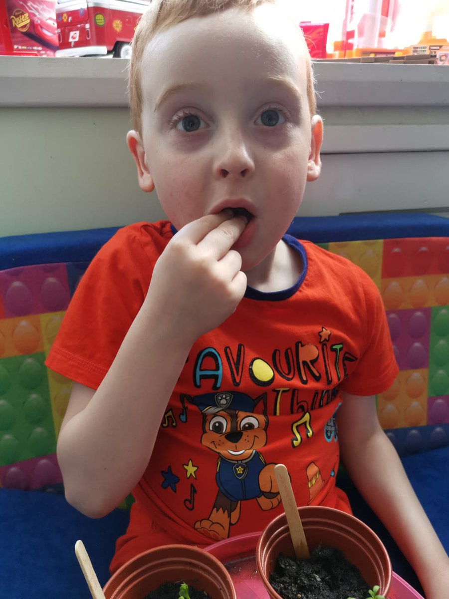 SuzyBailey3's tweet photo. Luca's plants have started to grow and the cress is ready to eat!!!
@ChristChurch_CE https://t.co/2xH5jKYurP