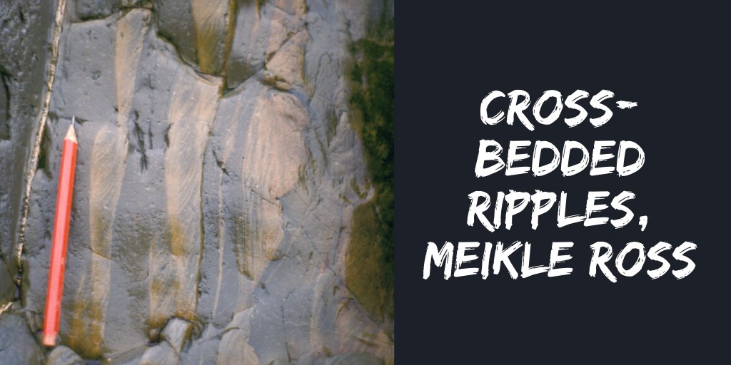 BGSEarthwise tweet media