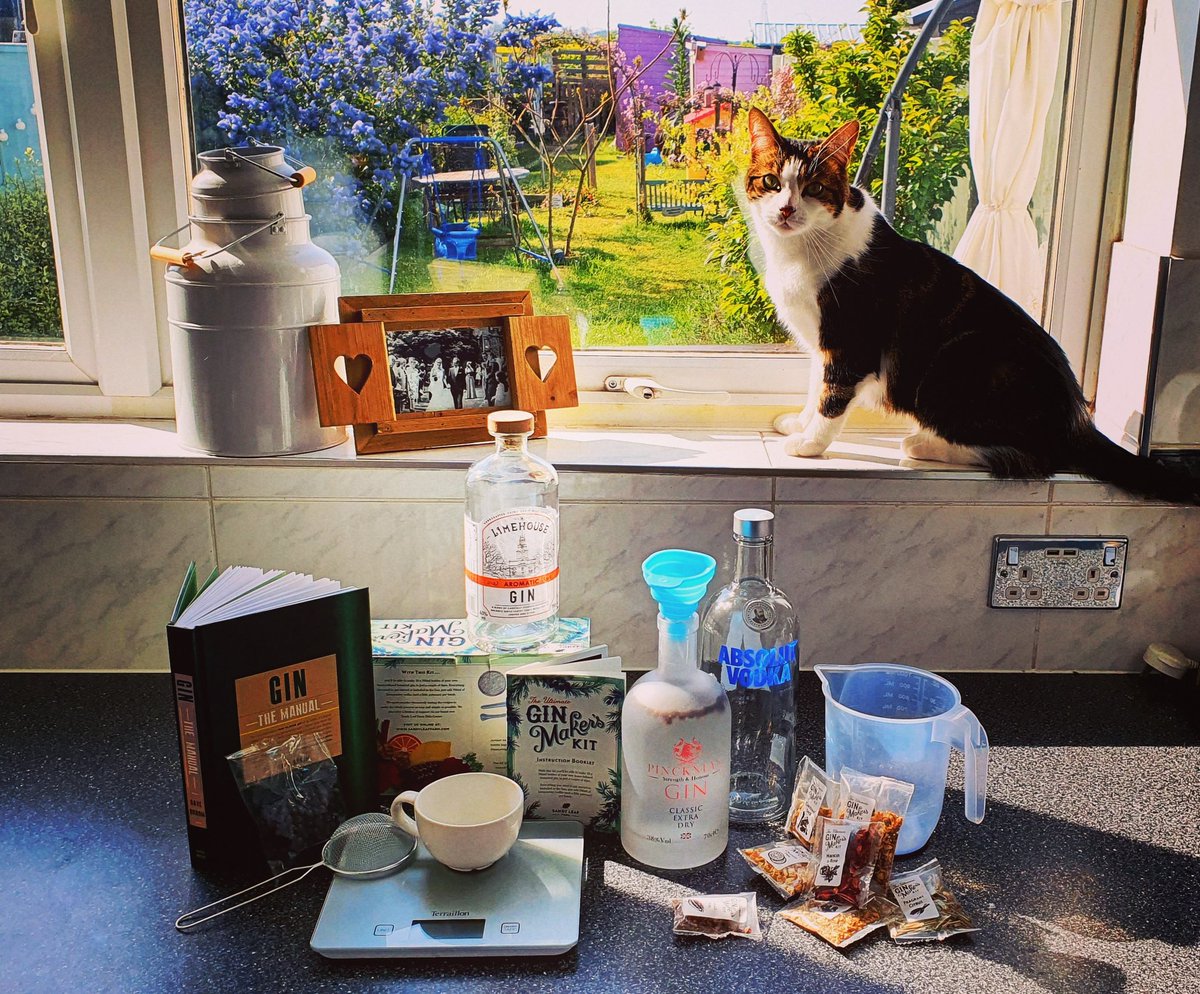 lloydhollett's tweet image. It's a gin making kind of day. #gin #ginmaking #isolation #stayhome #staysafe  #arthurhollett #arthurthekitten