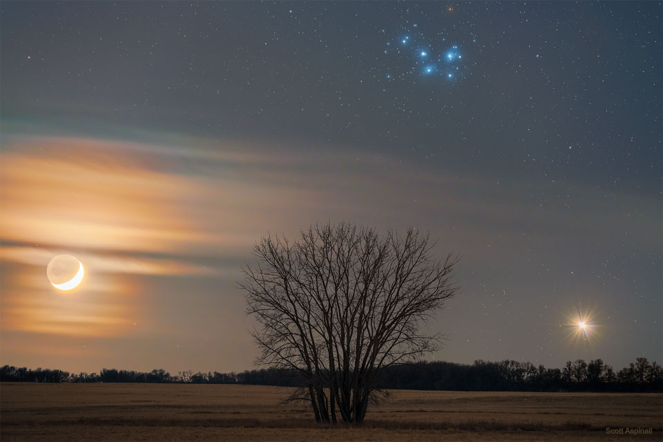 Ciencia_Alcance's tweet photo. Imagen astronómica del día (NASA): 'Un triángulo cósmico'. 

En ella, podemos observar la conjunción entre la Luna y Venus, rematada, en lo alto, por el cúmulo abierto de Las Pléyades, en Tauro, rodeado de polvo y gas, que le confiere un aspecto neblinoso.

Por Scott Aspinall. https://t.co/I6QwwRxI1m