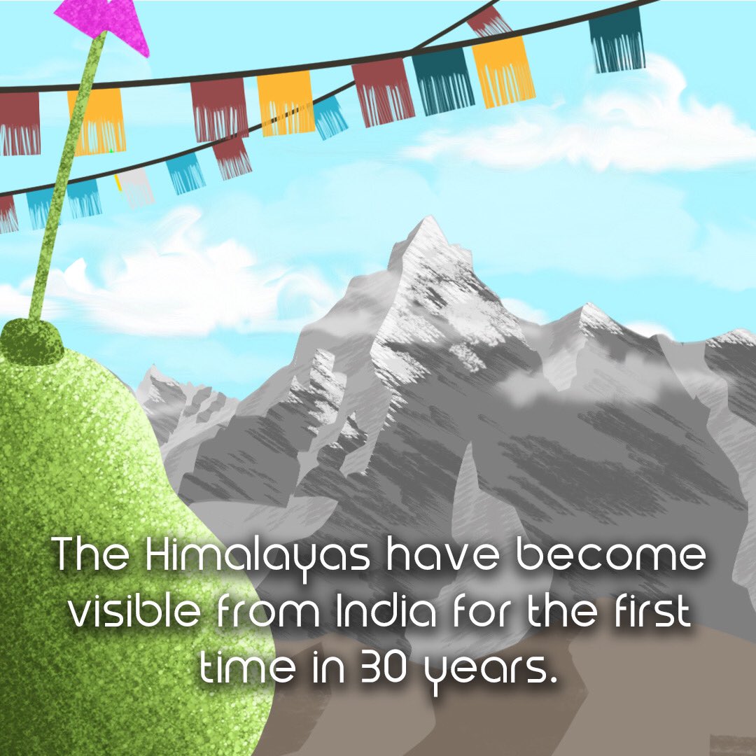 sparkialien's tweet photo. #sparki has been to #India to wave at his #friends and #animals in the #Himalayas 👏🏼 absolutely breathtaking. Just how he dreamed it would look. Less #consumption, closed factories and less cars on the road = less #pollution 🌈 👏🏼⚡️💚 #PositiveNews #sparkialien #ecofacts #eco https://t.co/2IoS9Y4Yae
