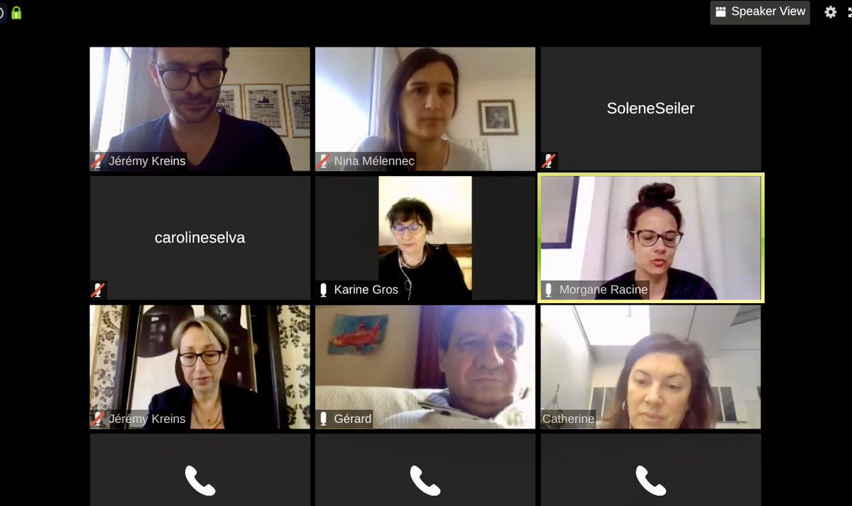 Réunion à distance des équipes et partenaires d’Entreprises et handicap. <a href="/AMF_actu/">AMF</a> <a href="/LVMH/">LVMH</a> <a href="/UPECactus/">UPEC</a>