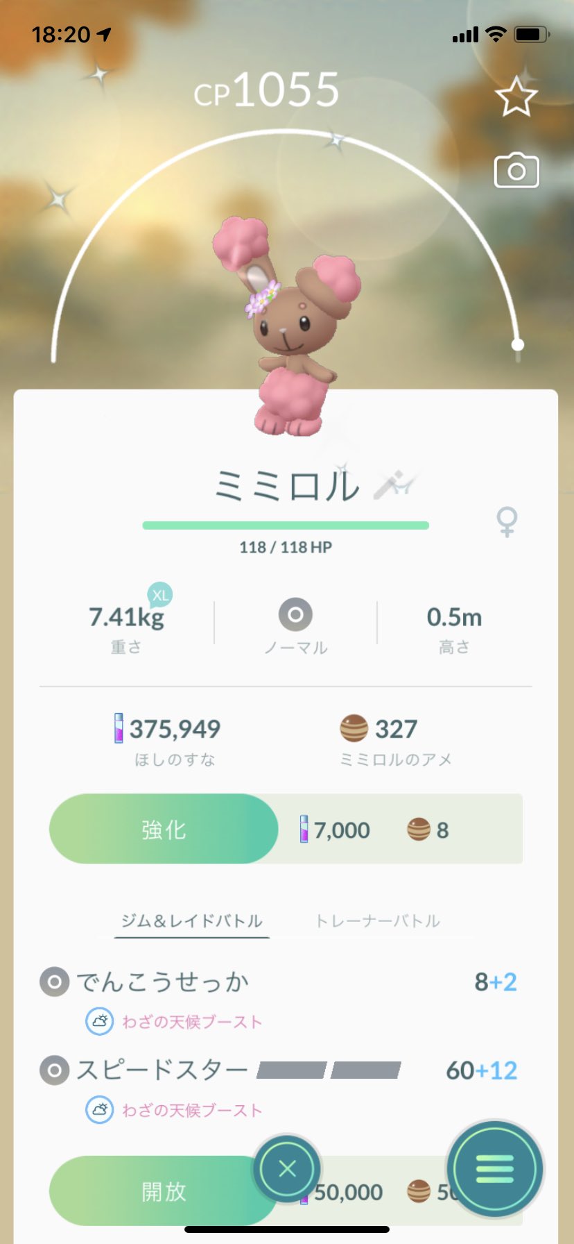 توییتر Kenri در توییتر 花飾り ミミロル 色違い ポケモンgo T Co Qn9dskledk