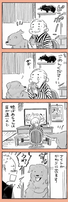 姫ばあちゃんとナイト(その3) 