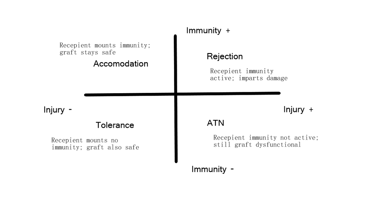 KumthekarGirish's tweet photo. Injury and immunity axis is not only involved in AKI pathogenesis, subclassification and outcomes but,  also active in various other disease states. For example, after an infection and after organ transplantation. These injury - immunity interactions sound interesting. https://t.co/1ybTPMcWzN