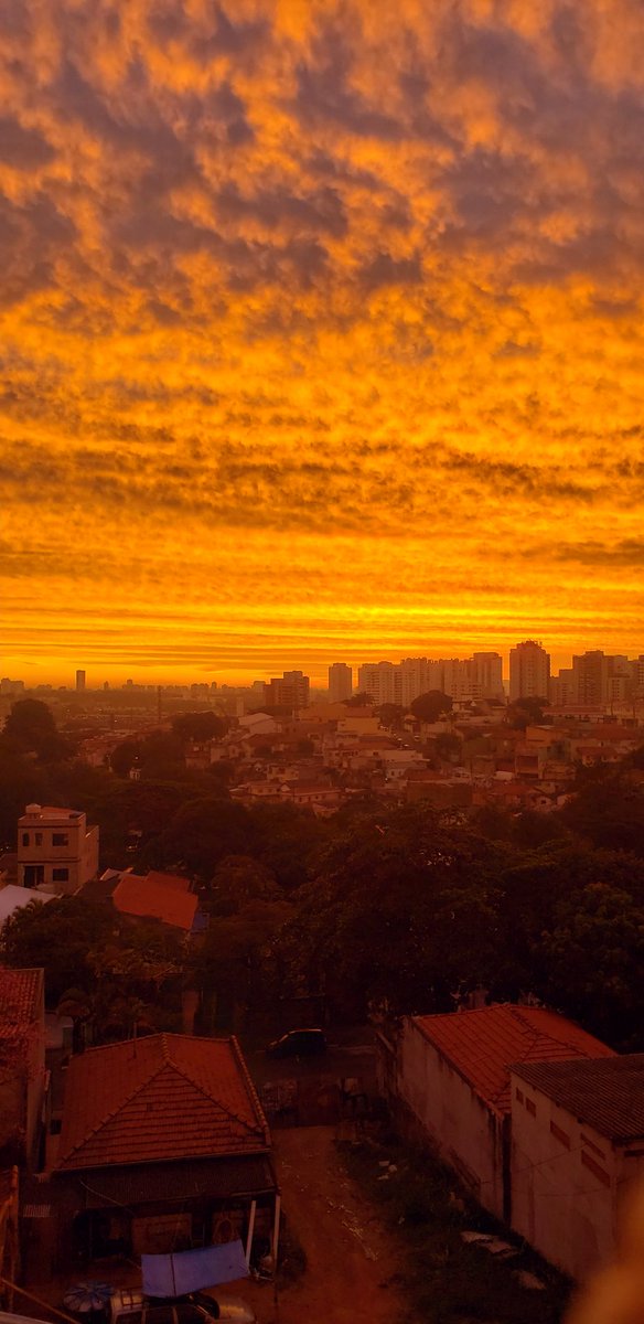 NiceIssa's tweet image. #BDSP