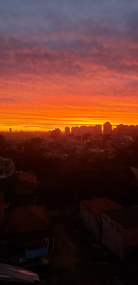 NiceIssa's tweet image. #BDSP