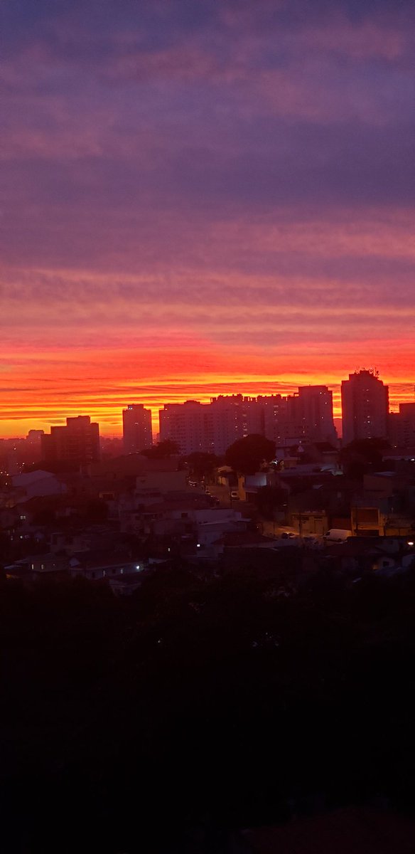 NiceIssa's tweet image. #BDSP