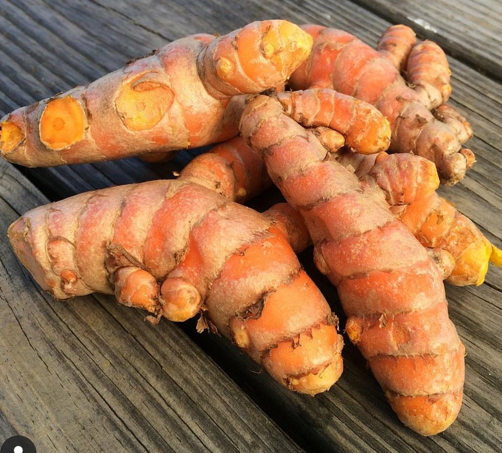 Next comes Turmeric! Another brilliant immunity booster! We use the dry powder in most of our cooking. Even otherwise, the fresh root can be eaten as curry, pickled or made into delicious juice! Or just boiled in milk!Now Firangs are patenting Turmeric Latte! 