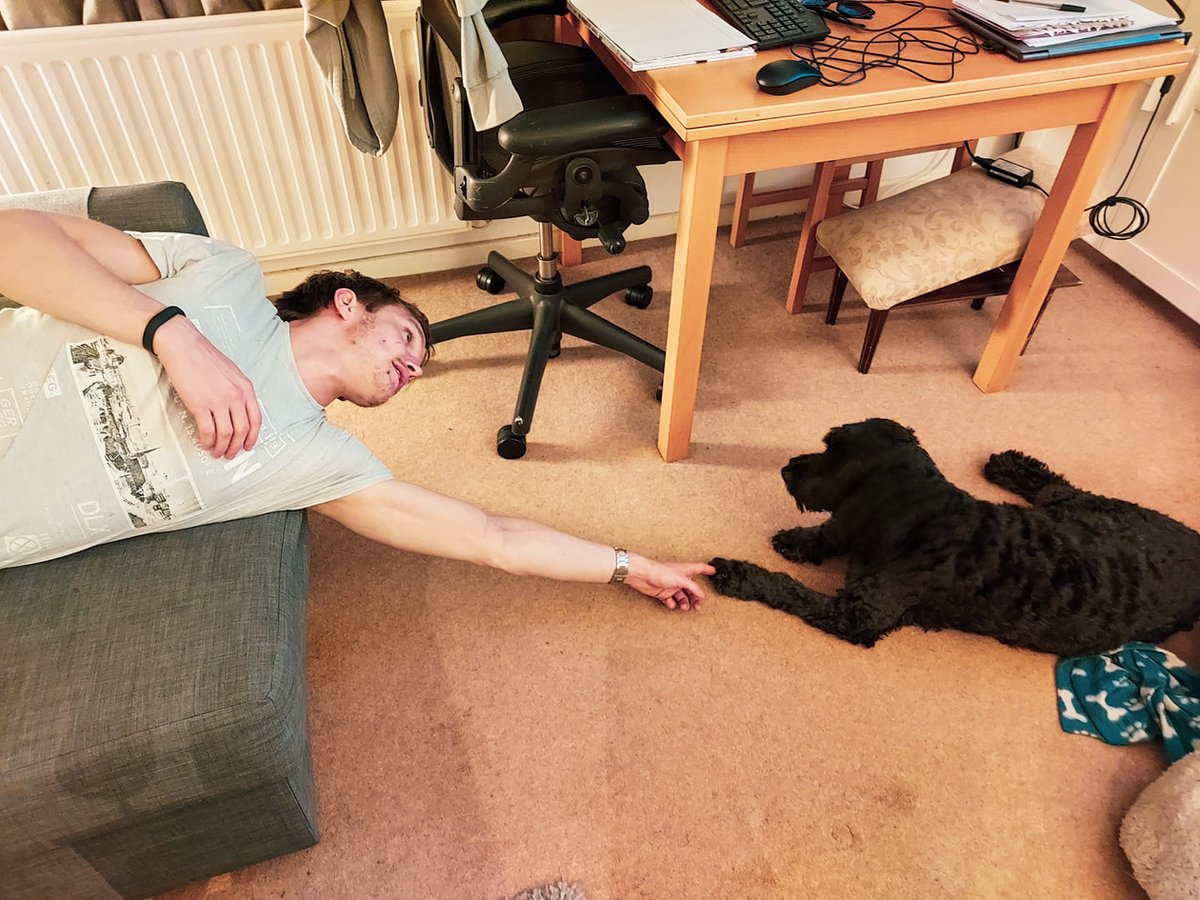 We asked players of our 'Play at Home Game Show' to recreate Michelangelo's Creation of Adam. These are some of the entries. Fancy being a bit silly, coming together with people and getting creative during lockdown? Join us every Saturday night: eventbrite.co.uk/e/play-at-home…