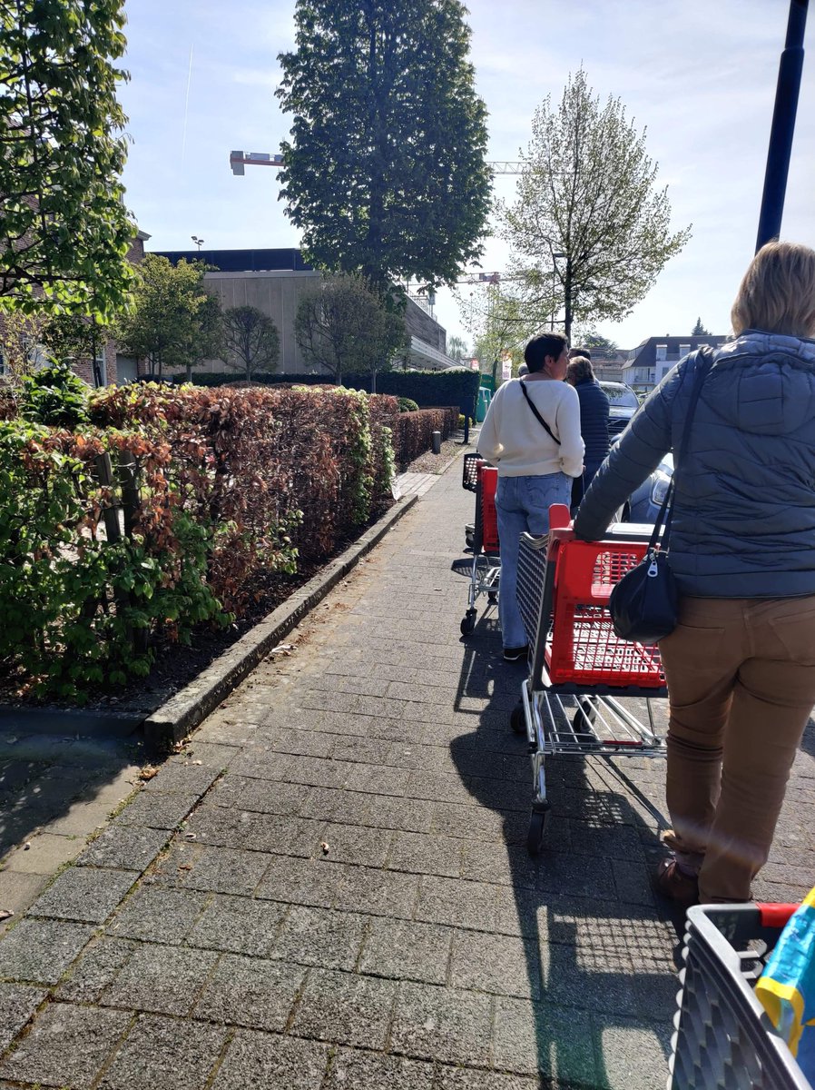 Wim van Sprundel tweet media