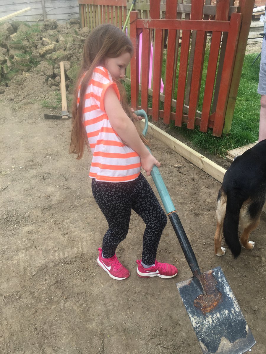 Daisy helping dig up the garden to lay decking, she’s pretty good with a wheelbarrow ☺️🤣