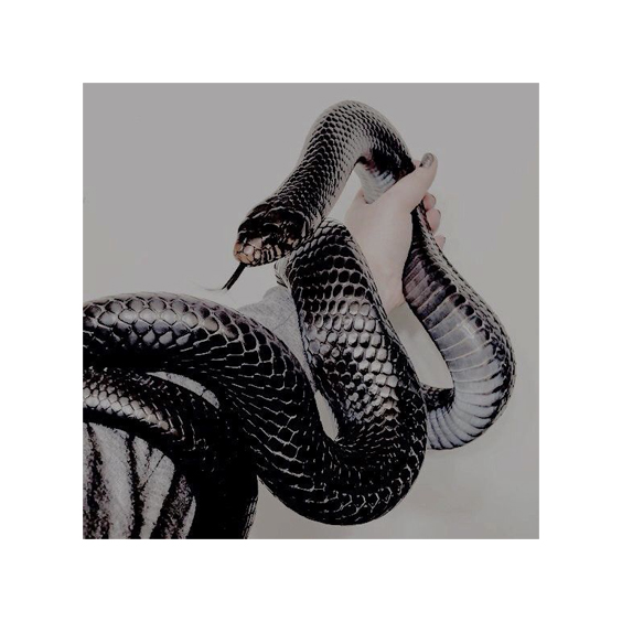 PuffHuffPuff's tweet image. ● ━ ❛𝘋ý𝘳ð𝘪𝘯 𝘮𝘶𝘯 𝘳𝘪ð𝘢, 𝘺𝘧𝘪𝘳 𝘫𝘰̈𝘳ð𝘪𝘯𝘢...
𝘑𝘢𝘳ð𝘯𝘦𝘴𝘬𝘳𝘢 𝘦𝘳 𝘣𝘢𝘳𝘯𝘢, 𝘥𝘰́𝘮𝘴𝘥𝘢𝘨𝘶𝘳 𝘪́ 𝘯𝘢́𝘯𝘥.❜