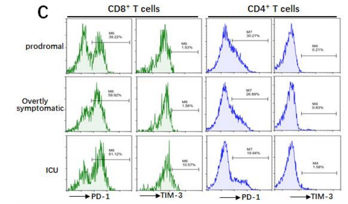 Diao et al ( https://www.medrxiv.org/content/10.1101/2020.02.18.20024364v1) examined 499 patients. The more severe COVID19, the fewer T cells in the periphery. Pts > 60 years had fewer T cells. Cell # correlate weakly to cytokine levels. And T cells in affected cases expressed ‘exhaustion” makers PD1 and TIM3. 9/17