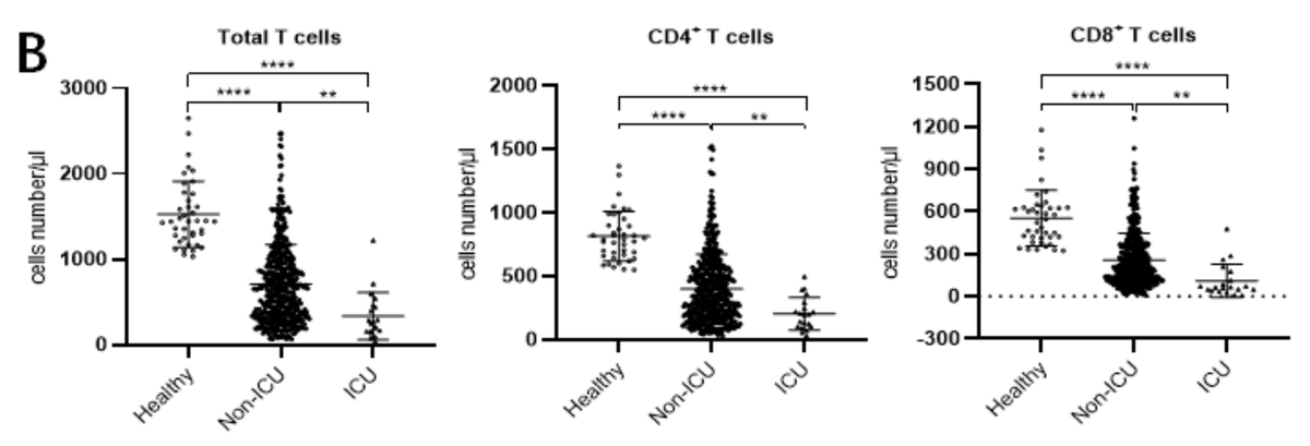 Diao et al ( https://www.medrxiv.org/content/10.1101/2020.02.18.20024364v1) examined 499 patients. The more severe COVID19, the fewer T cells in the periphery. Pts > 60 years had fewer T cells. Cell # correlate weakly to cytokine levels. And T cells in affected cases expressed ‘exhaustion” makers PD1 and TIM3. 9/17