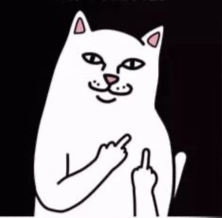 Dianax022's tweet photo. Creo que mi gato me quiere decir algo de la nueva marca de comida. https://t.co/SSHZpGE9w1