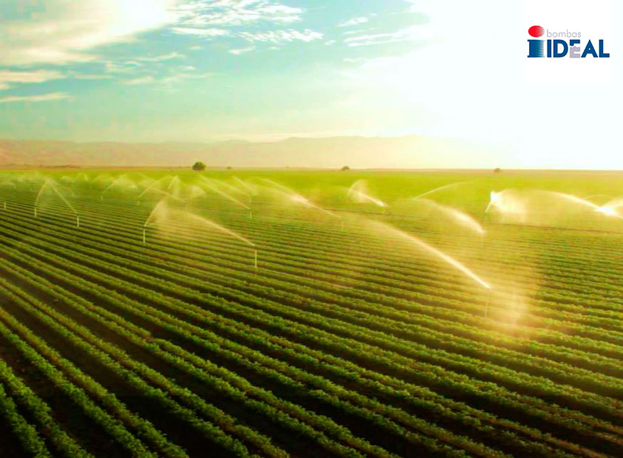 Bombas Ideal está más cerca de la agricultura que nunca 🌱. Gracias por vuestro trabajo y sacrificio.
Seguimos a vuestro lado para garantizaros el abastecimiento de agua 💧.

#Lafuerzadelagua #Lafuerzadelaspersonas
#Lafuerzadelaempresafamiliar #Lafuerzadelacorresponsabilidad