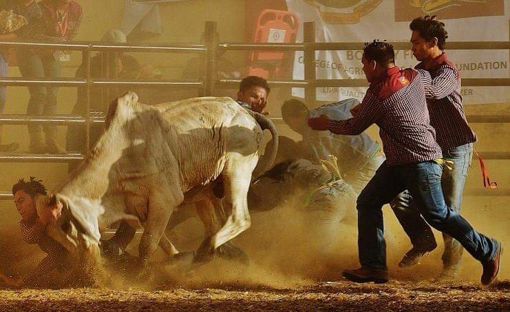 bienmalonzo's tweet photo. At this time of the year we celebrate the National Rodeo Finals in Masbate. Share ko lang yung Student vs Professional Carambola namin. Dati sub lang ako, ngayon ako na tumatangke. Hahaha. 💪🏾🤠 #Rodeo #RodeoMasbateño #CowboysNation #UPRanchersClub #UPLBRascals
2013vs2019 https://t.co/v7E27dnHSs