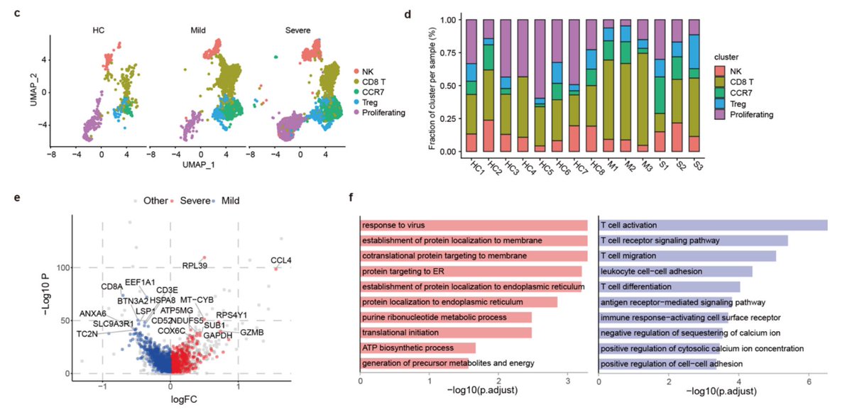 Liao et al ( https://www.medrxiv.org/content/10.1101/2020.02.23.20026690v1) did scRNA/TCR-seq on BAL in 3 mild/3 severe cases. Increased T cells #’s in lungs, less so in severe pts, where cells had proliferative profile. All had effector genotype. Found clonally expanded clones and more so in mild cases. 11/17