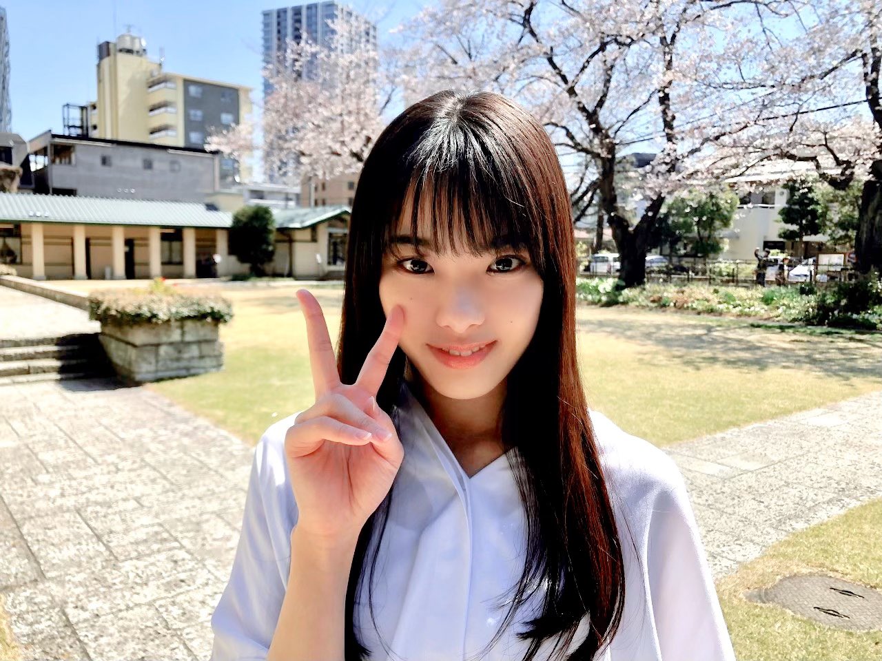 櫻坂46 on X: 
