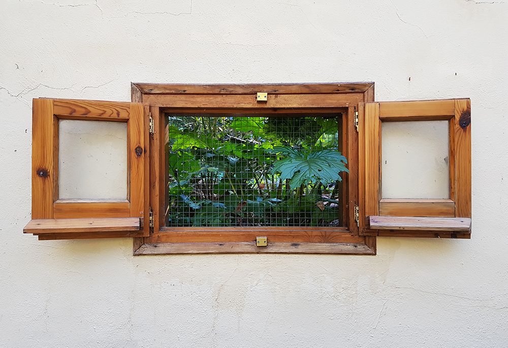 Societat Catalana de Biologia (@scb_iec) on Twitter photo Al <a href="/JardiBotanicUV/">Jardí Botànic UV</a> han obert #UnaFinestraAlBotànic i així, des de casa, podem veure algunes de les més de 4.500 espècies diferents que viuen en aquest bosc urbà, i viatjar arreu del món de forma virtual. Preciosa iniciativa!🌼🌺🌻 #EnsQuedemACasa #EnsEnSortirem Al <a href="/JardiBotanicUV/">Jardí Botànic UV</a> han obert #UnaFinestraAlBotànic i així, des de casa, podem veure algunes de les més de 4.500 espècies diferents que viuen en aquest bosc urbà, i viatjar arreu del món de forma virtual. Preciosa iniciativa!🌼🌺🌻 #EnsQuedemACasa #EnsEnSortirem