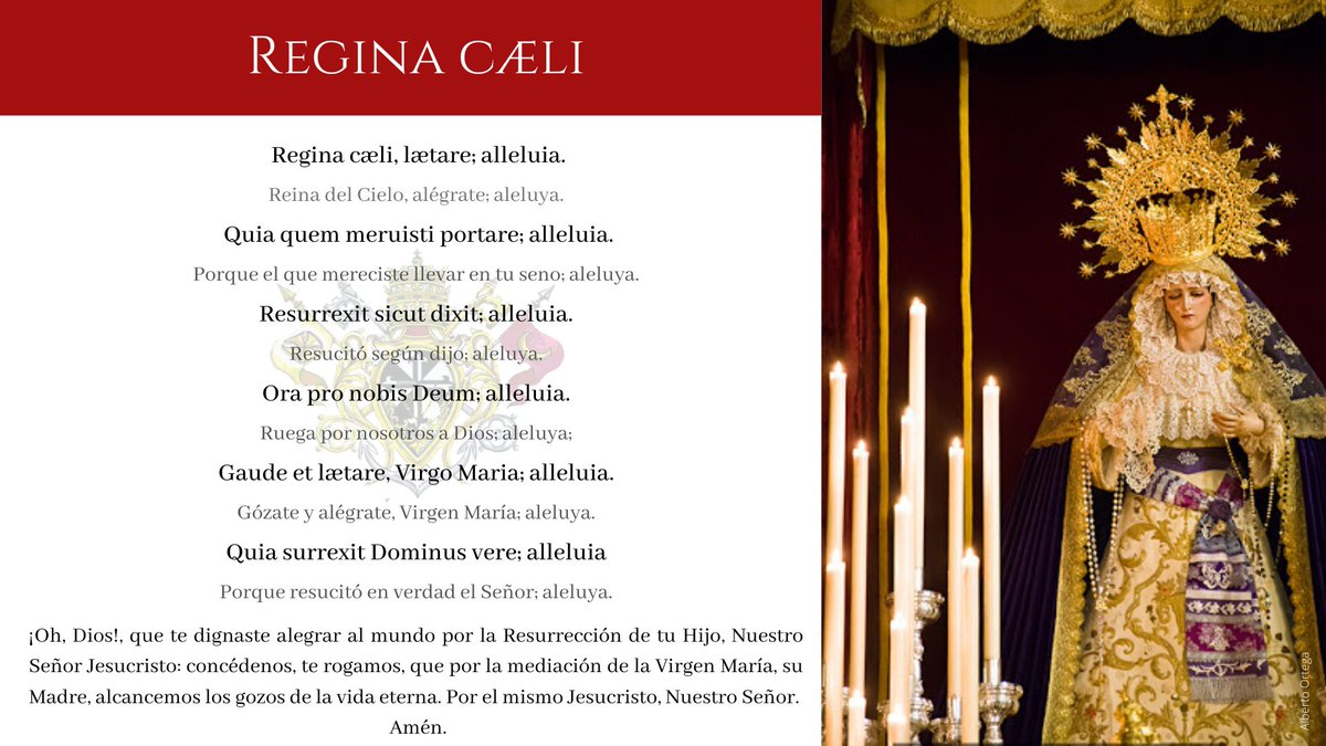 REGINA CÆLI|
¡Alégrate María!

#ReinaDelCielo #PascuaDeResurrección