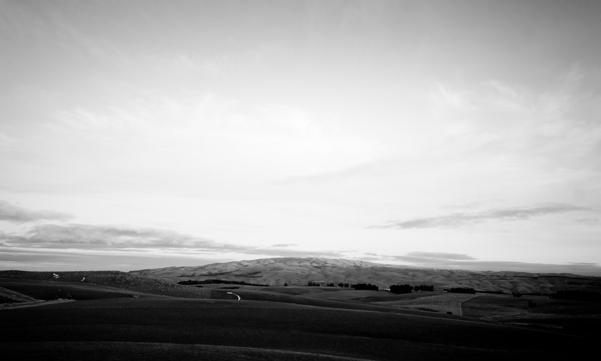 I LOVE the Strath Taieri hills leaving Outram / Mosgiel to  @CentralOtago_NZ via Middlemarch They're 20mins from downtown Dunedin, and they're NEVER boring.  #BitsOfNewZealand